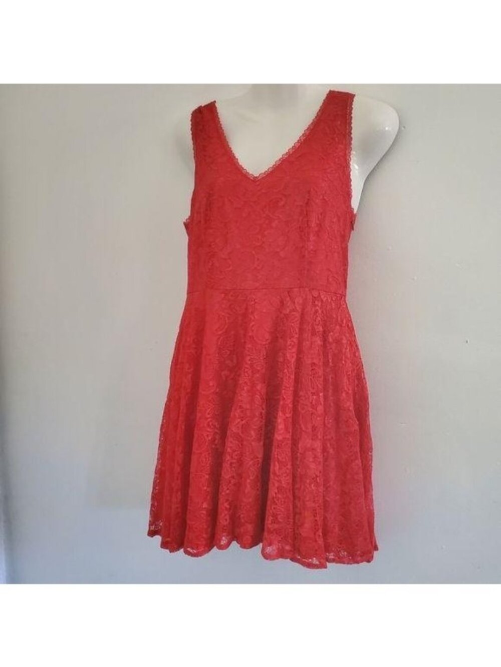 Red Lace Sleeveless V-Neck Skater Dress By Express Size 6